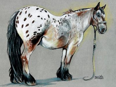 Clydaloosa