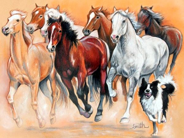 Fun with the Herd