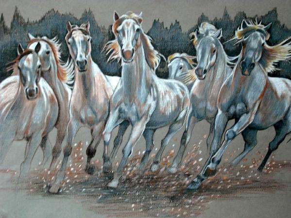The Camargue Herd