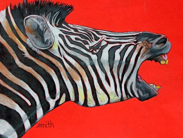 Laughing Zebra