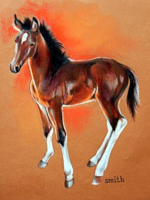 Circle K Foal