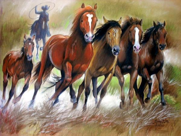 Wild Horse Roundup