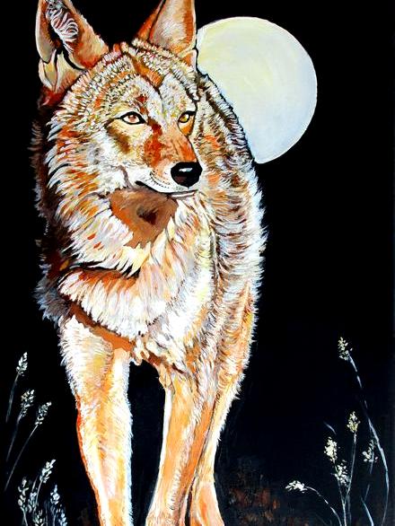 Coyote Moon