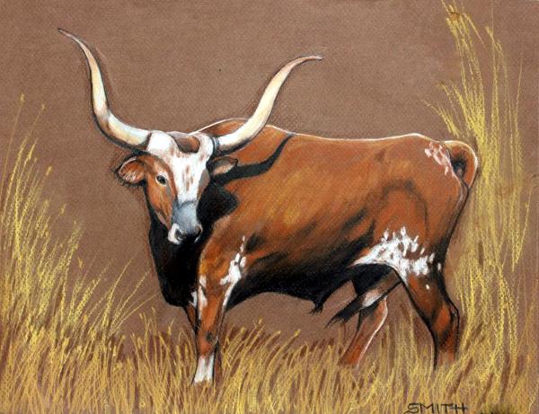 Lost Longhorn